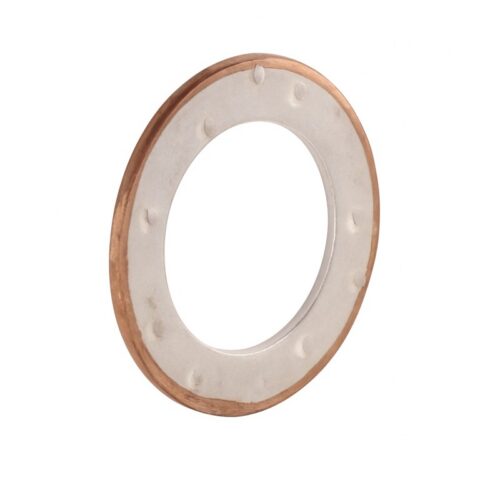 Seib hõbedane, D22 × 1 mm V2