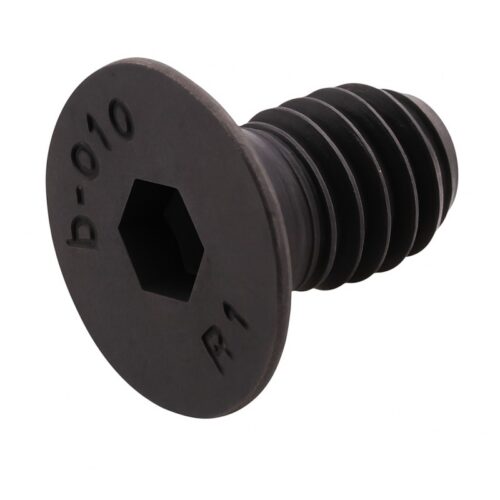 Peitpeapolt, M6 × 10 mm