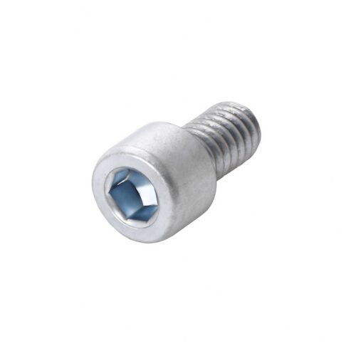 Sisekuuskantpolt, M6 × 10 mm