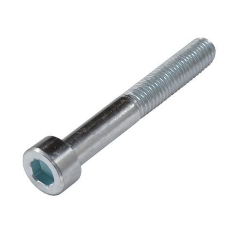 Sisekuuskantpolt, M6 × 45 mm