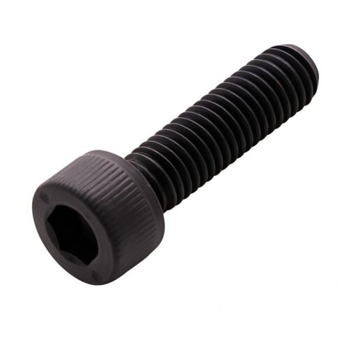 Sisekuuskantpolt, M6 × 22 mm